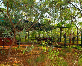 Arnhemland Barramundi Nature Lodge - Darwin Holiday 0