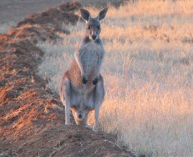 Old Ambalindum Homestead - Darwin Holiday 2