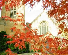 Lucinda's - Darwin Holiday 0