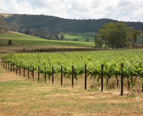 Acacia Park Farm House - Darwin Holiday 7