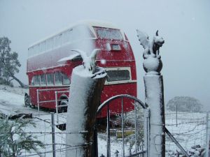 Artisans Park - Darwin Holiday 8
