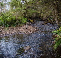 Horse Swamp campground - Darwin Holiday