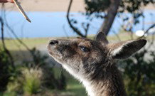 Joalah Holiday Park - Darwin Holiday 1