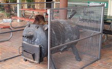 Lightning Ridge Outback Resort And Caravan Park - Darwin Holiday 7