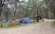 Native Dog Campground - thumb 0