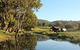 Widgee Murra - thumb 4