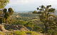 Widgee Murra - thumb 6