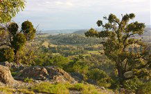 Widgee Murra - Darwin Holiday 6