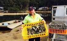 Patonga Camping Area - Darwin Holiday 2