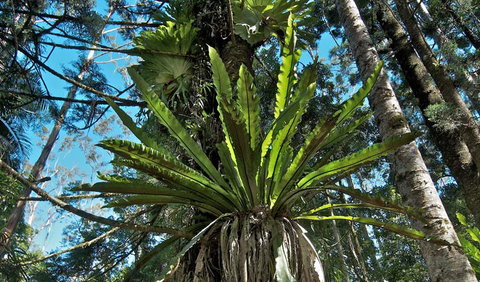 Rummery Park Campground - Darwin Holiday 0