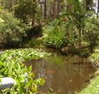 Tallowood Ridge B and B - Darwin Holiday