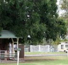 Warialda Caravan Park - Darwin Holiday