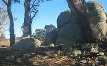 Countegany NSW Darwin Holiday