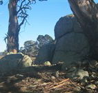 Warreen Farmstay Rural Accommodation - Darwin Holiday