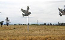 Gulargambone NSW Darwin Holiday