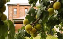 Imperial Fine Accommodation - Broken Hill - Darwin Holiday 7