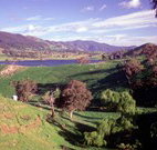 Motel Royal Tara - Binalong - Darwin Holiday