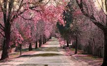 Royal Hotel Hill End - Hill End - Darwin Holiday 2