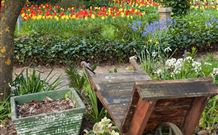 The Carrington Inn - Darwin Holiday 0