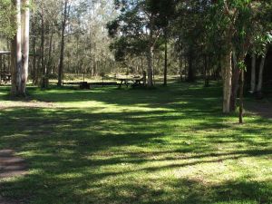 Jervis Bay Cabins And Hidden Creek Real Camping - Darwin Holiday 5