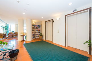 The Emerald Surfers Paradise - Darwin Holiday 1