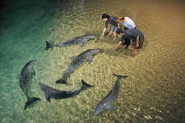 Moreton Island QLD Darwin Holiday