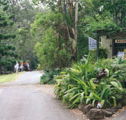 Tamborine Mountain Caravan  Camping - Darwin Holiday