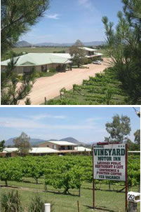 Mudgee Vineyard Motor Inn - Darwin Holiday 0