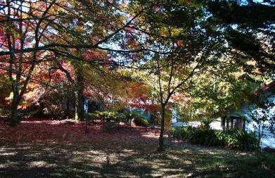 Kubba Roonga Blackheath - Darwin Holiday 4