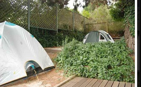 The Flying Fox Backpackers - Darwin Holiday 2