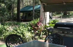 Tamborine Mountain Caravan & Camping - Darwin Holiday 2