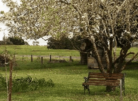 Lemon Gum B And B - Darwin Holiday 2