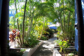 Portobello By The Sea - Darwin Holiday 2