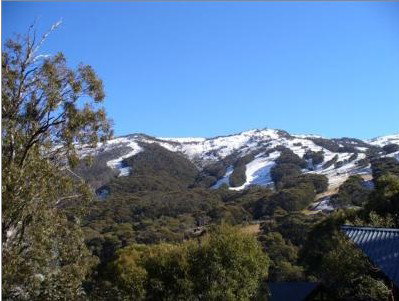 Alpenhorn Lodge - Darwin Holiday 1