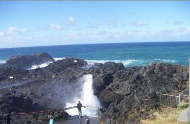 Kiama Ocean View Motor Inn - Darwin Holiday 1