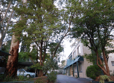 Adelaide Oakford Apartments - Darwin Holiday 0