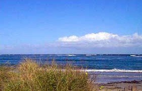 Carleton Inn - Darwin Holiday 2