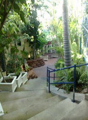 Reef Lodge Backpackers - Darwin Holiday 1