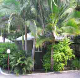 Nambour Rainforest Holiday Village - Darwin Holiday 1