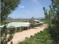 Mudgee Vineyard Motor Inn - Darwin Holiday 1