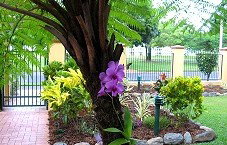 Waterfront Terraces - Darwin Holiday 1