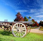 The Oaks Ranch and Country Club - Mossy Point - Darwin Holiday