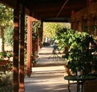 The Vineyard Motel - Cowra - Darwin Holiday