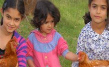 Barrington Tops Organic Retreat - Darwin Holiday 2