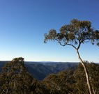 Coach Cottage - Darwin Holiday