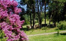 Historic Roseneath Station - Darwin Holiday 5