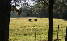 Historic Roseneath Station - Darwin Holiday 6