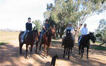 Linga Longa Farm Wingham - Darwin Holiday 1