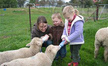 Linga Longa Farm Wingham - Darwin Holiday 2