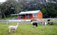Moorallie Cottage Farm Stay - Darwin Holiday 0